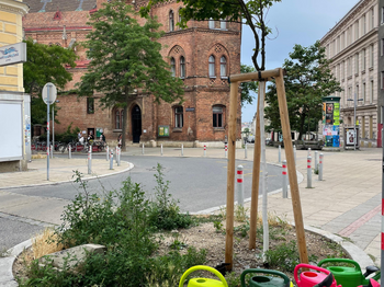 Buntige Gießkannen am Leopold-Mistinger-Platz