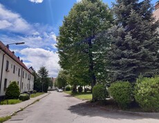Häuser der Siedlung und zwei Bäume
