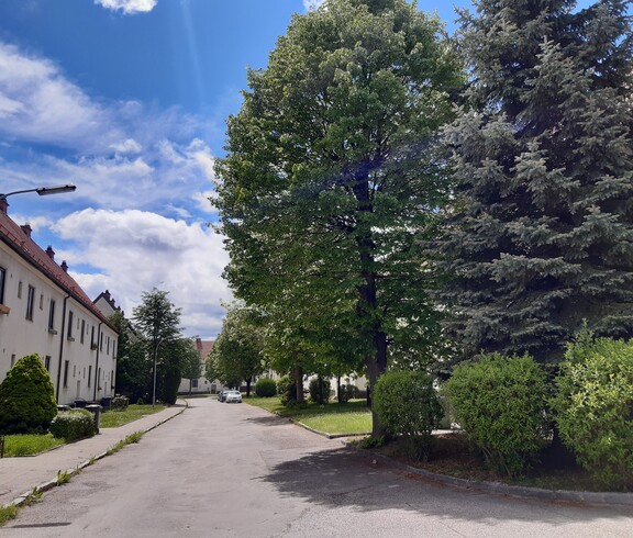 Häuser der Siedlung und zwei Bäume