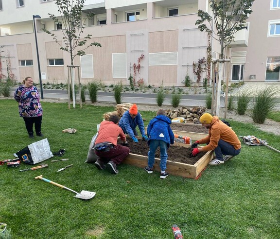 Menschen rund um ein Gartenbeet beim Anpflanzen
